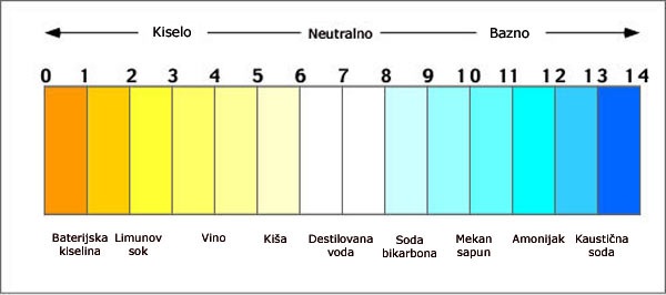 Kisele i bazne namirnice 🇷🇸