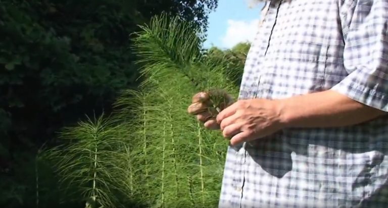 Todor Pešterski – kako se “očistiti” od aluminijuma (između ostalog) … 🇷🇸🇸🇮